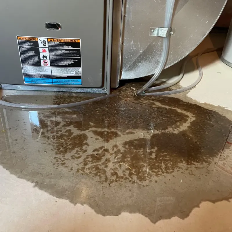 Appliance Leak Cleanup in Swannanoa, NC